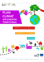 Synthese diagnostic et strategie